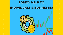 Forex- Help to Individuals & businesses