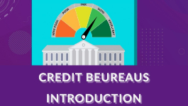 Credit bureaus